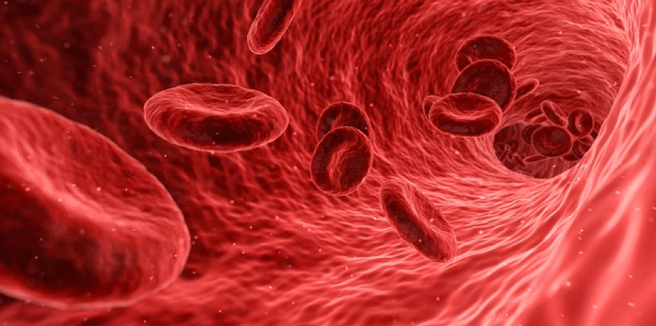 Rote Blutkörperchen